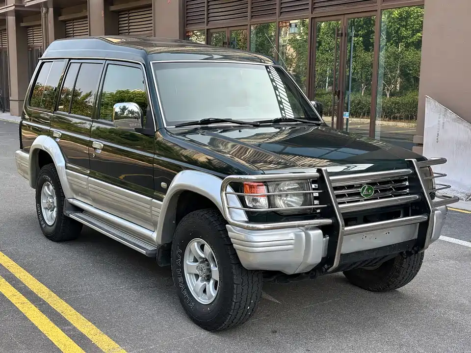 Leopaard Cheetah 6481