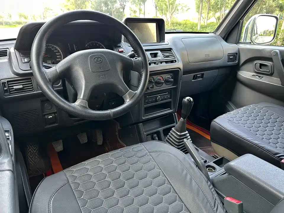 Leopaard Cheetah 6481