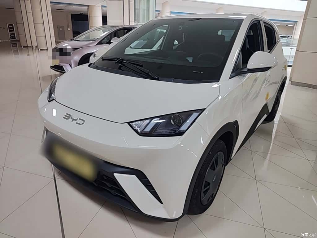 BYD Seagull, 2025 1