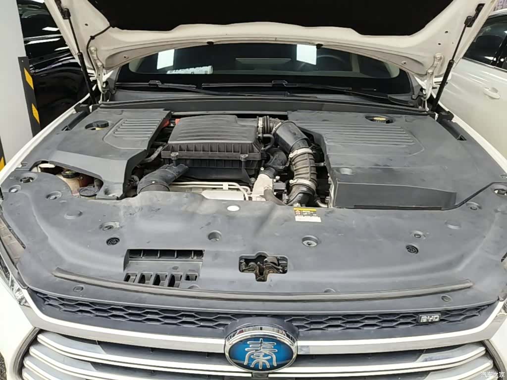 BYD Qin, 2019 20