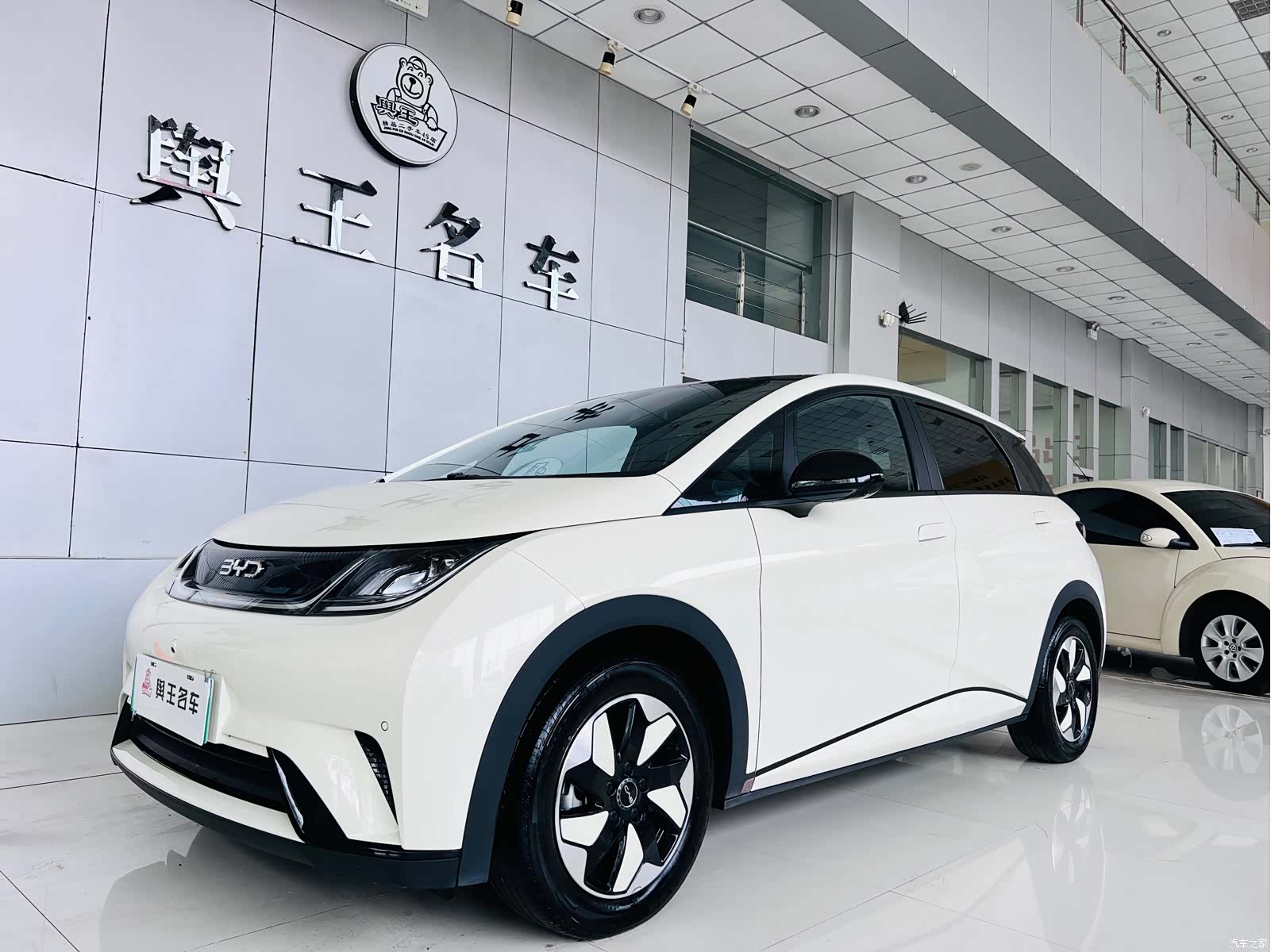BYD Dolphin, 2024 1