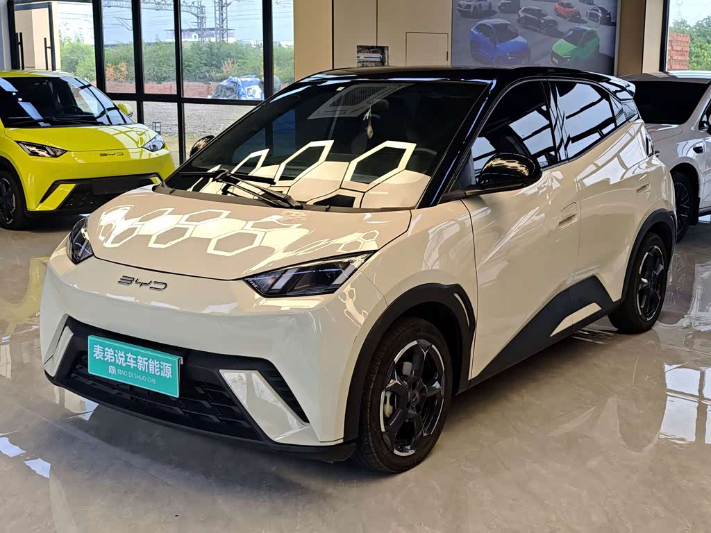 BYD Seagull
