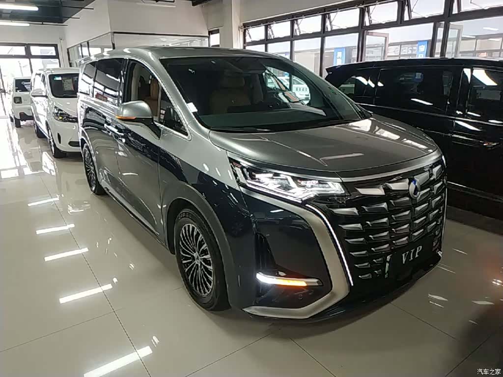 Denza D9, 2023 4