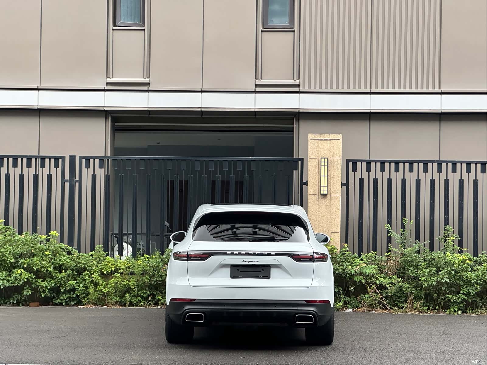 Porsche Cayenne, 2022 все фото