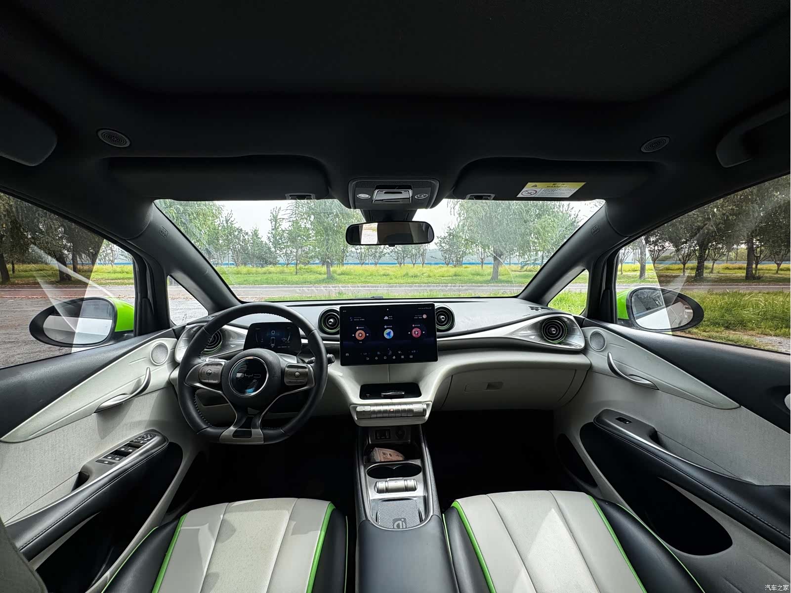BYD Dolphin, 2021 4