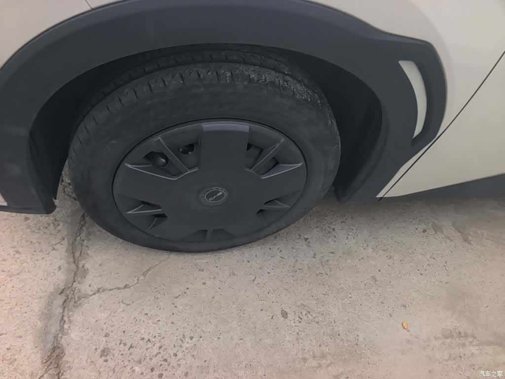 BYD Seagull, 2024 23