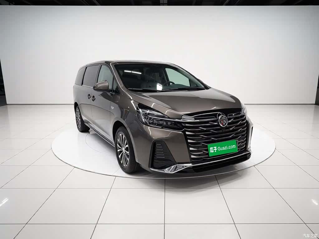 Buick GL8, 2024 4