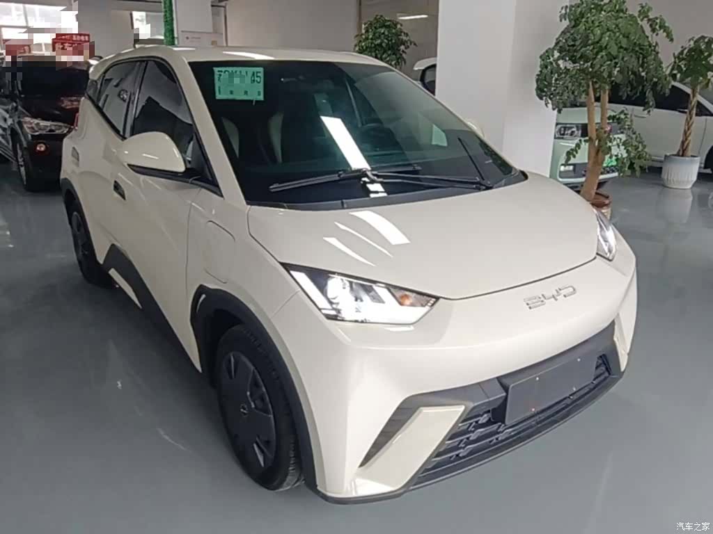 BYD Seagull, 2024 4