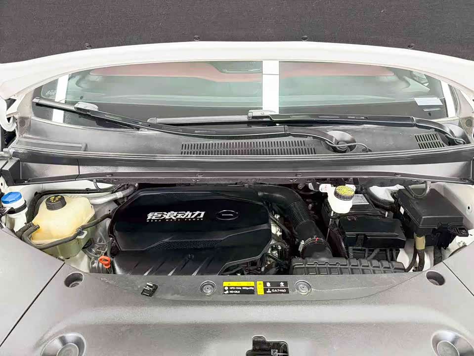 Trumpchi Trumpchi M8