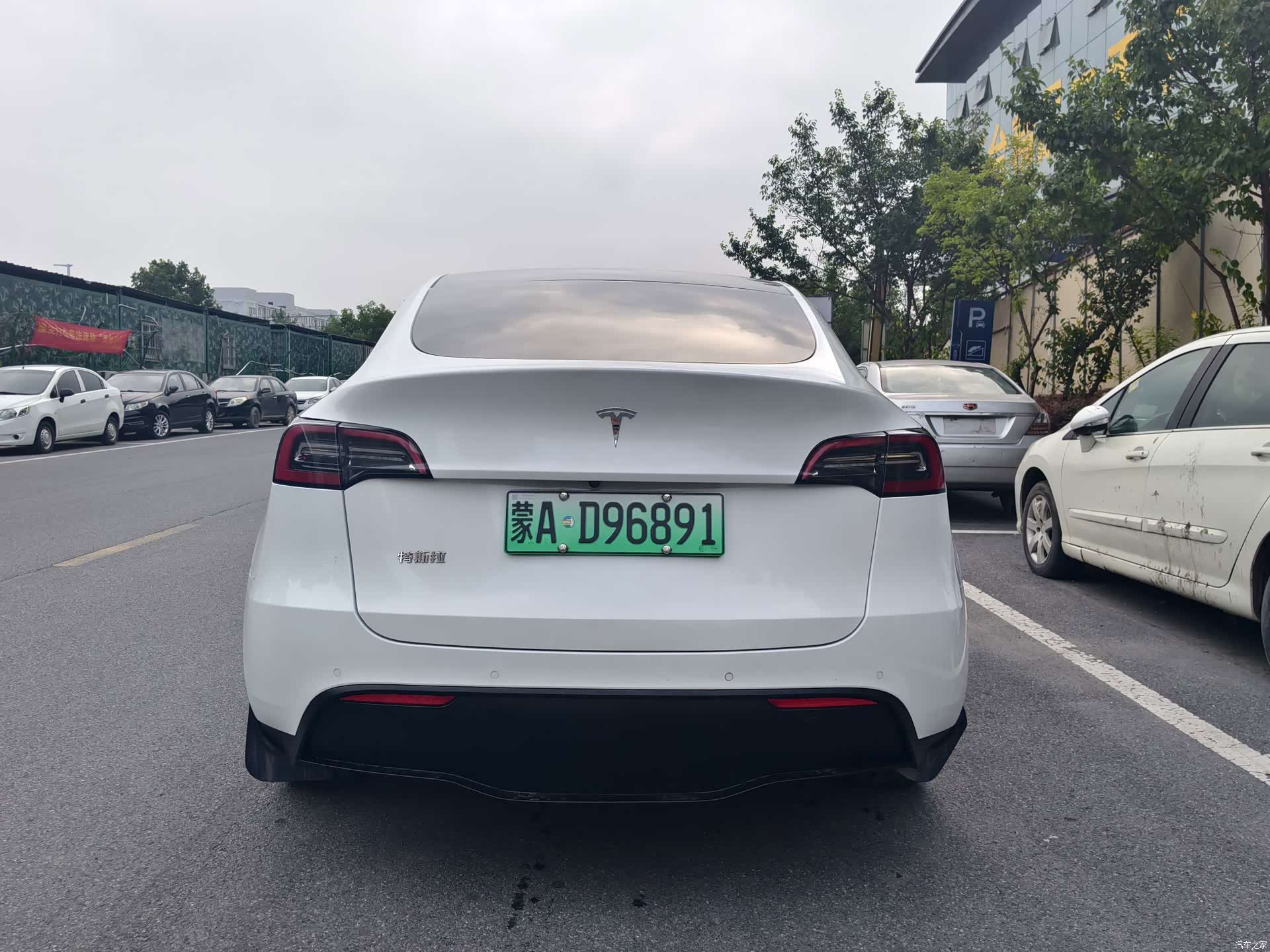 Tesla Model Y, 2022 все фото