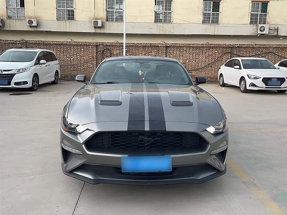 Ford Mustang Ford Mustang