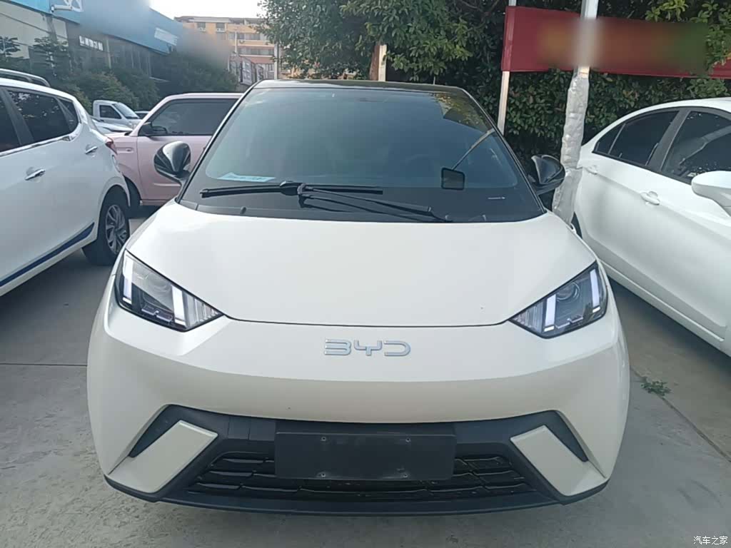 BYD Seagull, 2024 3