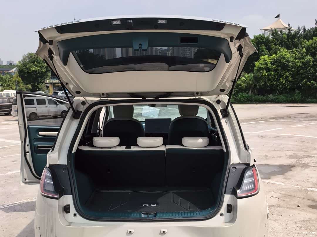 Wuling 460, 2024 15