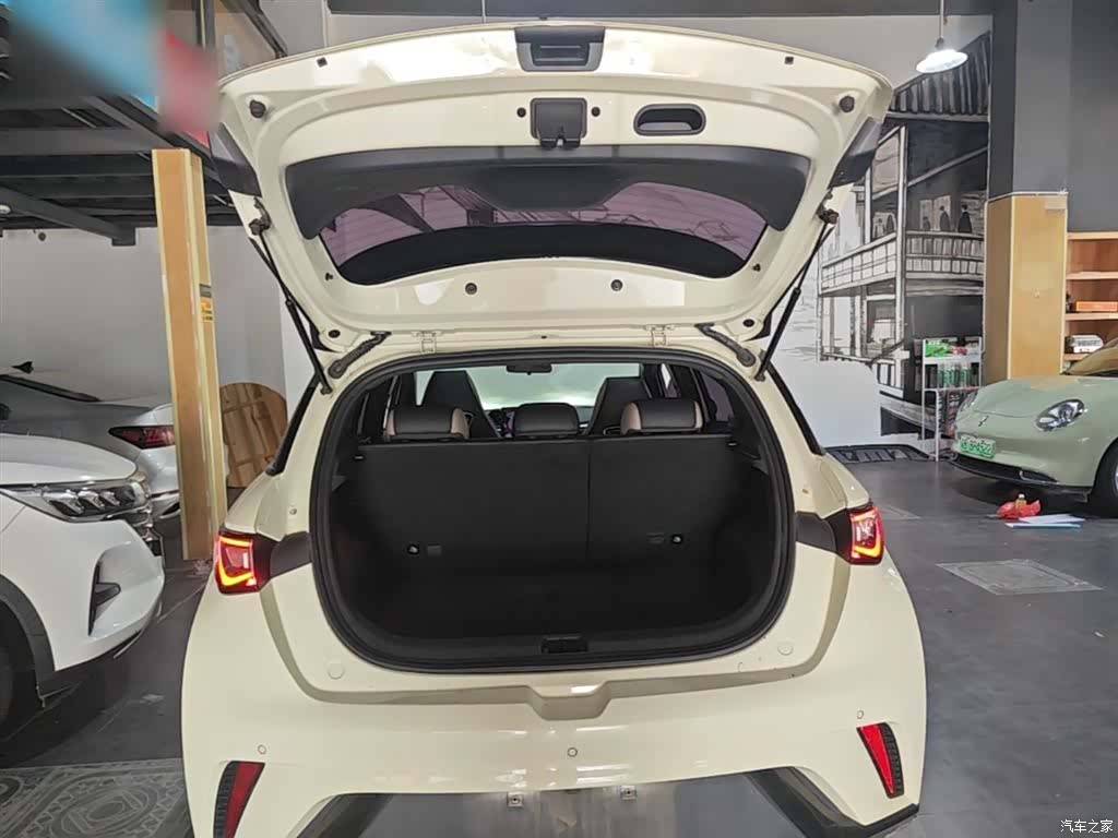 BYD Dolphin, 2023 19