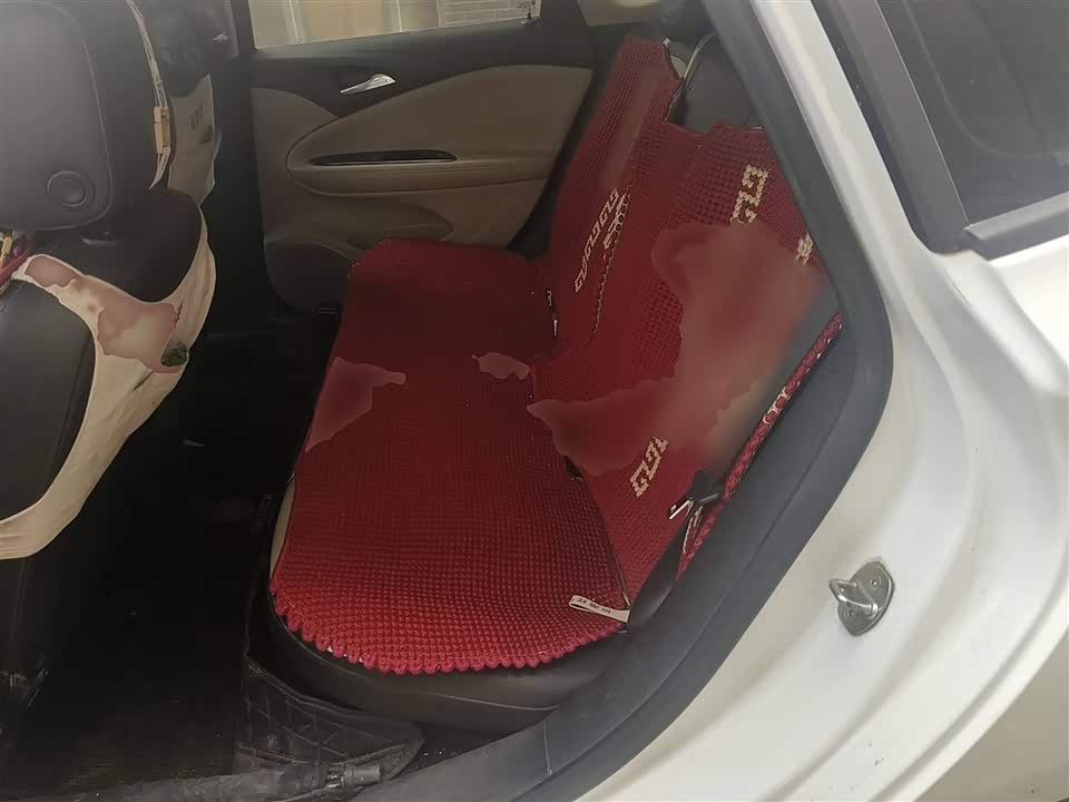 Buick Weilang