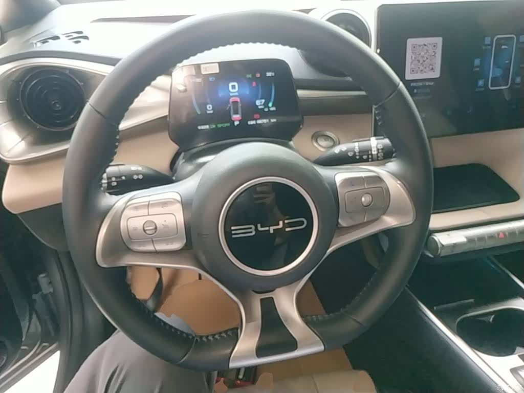 BYD Dolphin, 2023 11