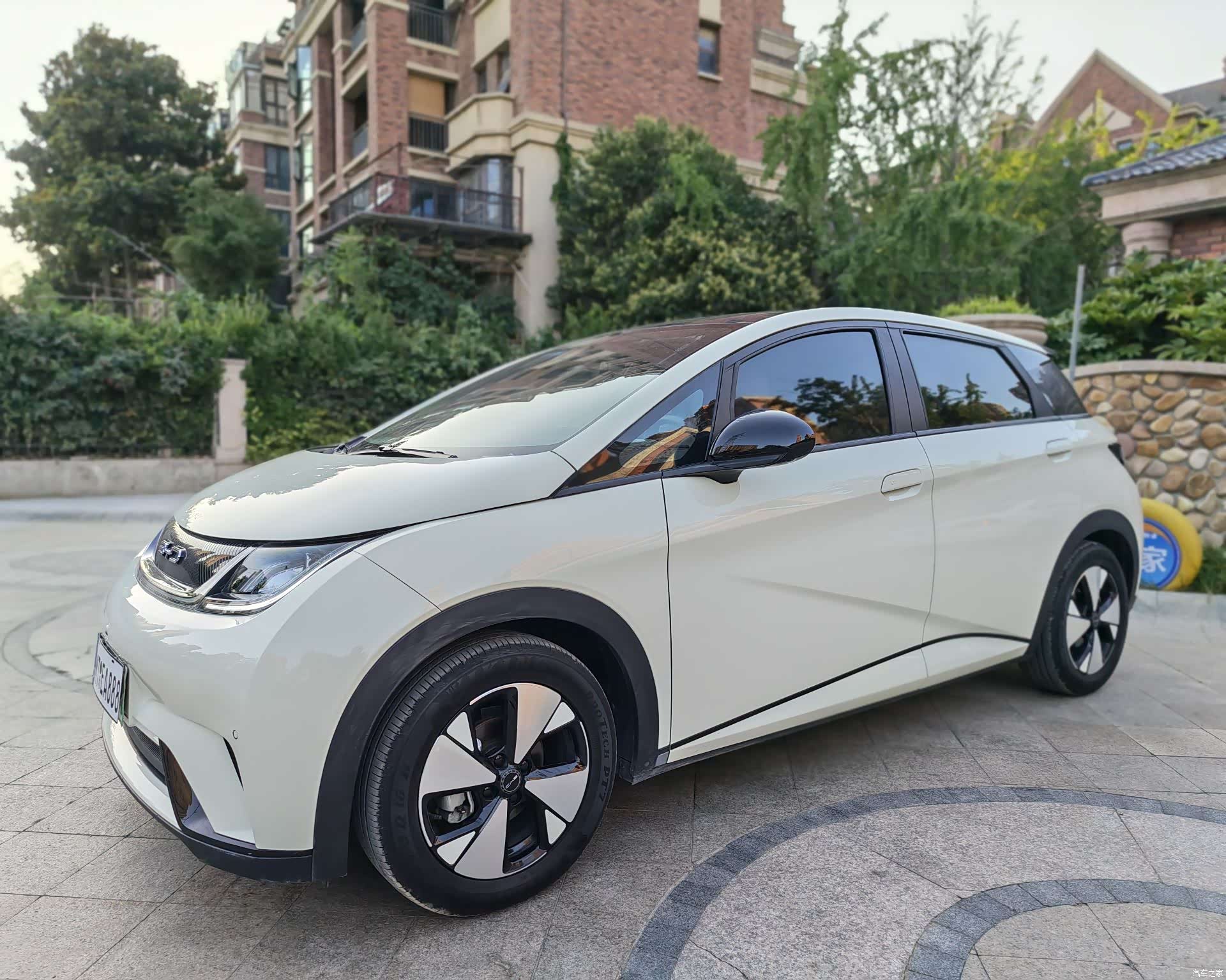 BYD Dolphin, 2024 1