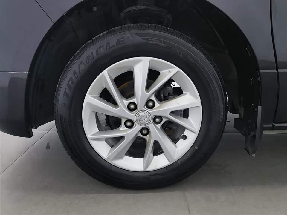 Forthing Lingzhi PLUS