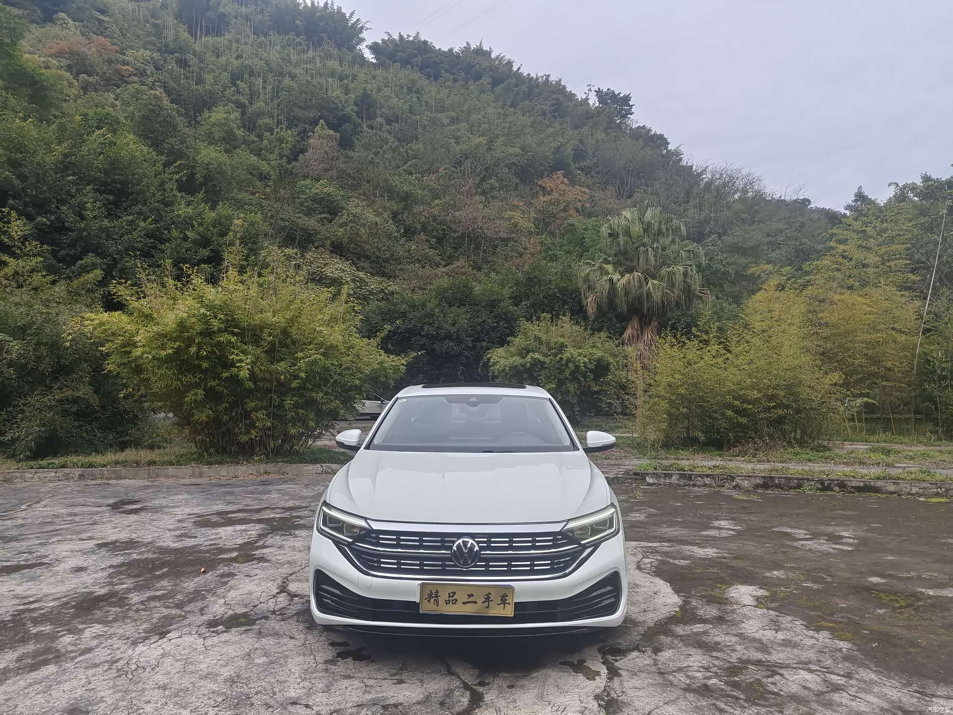 Volkswagen Sagitar