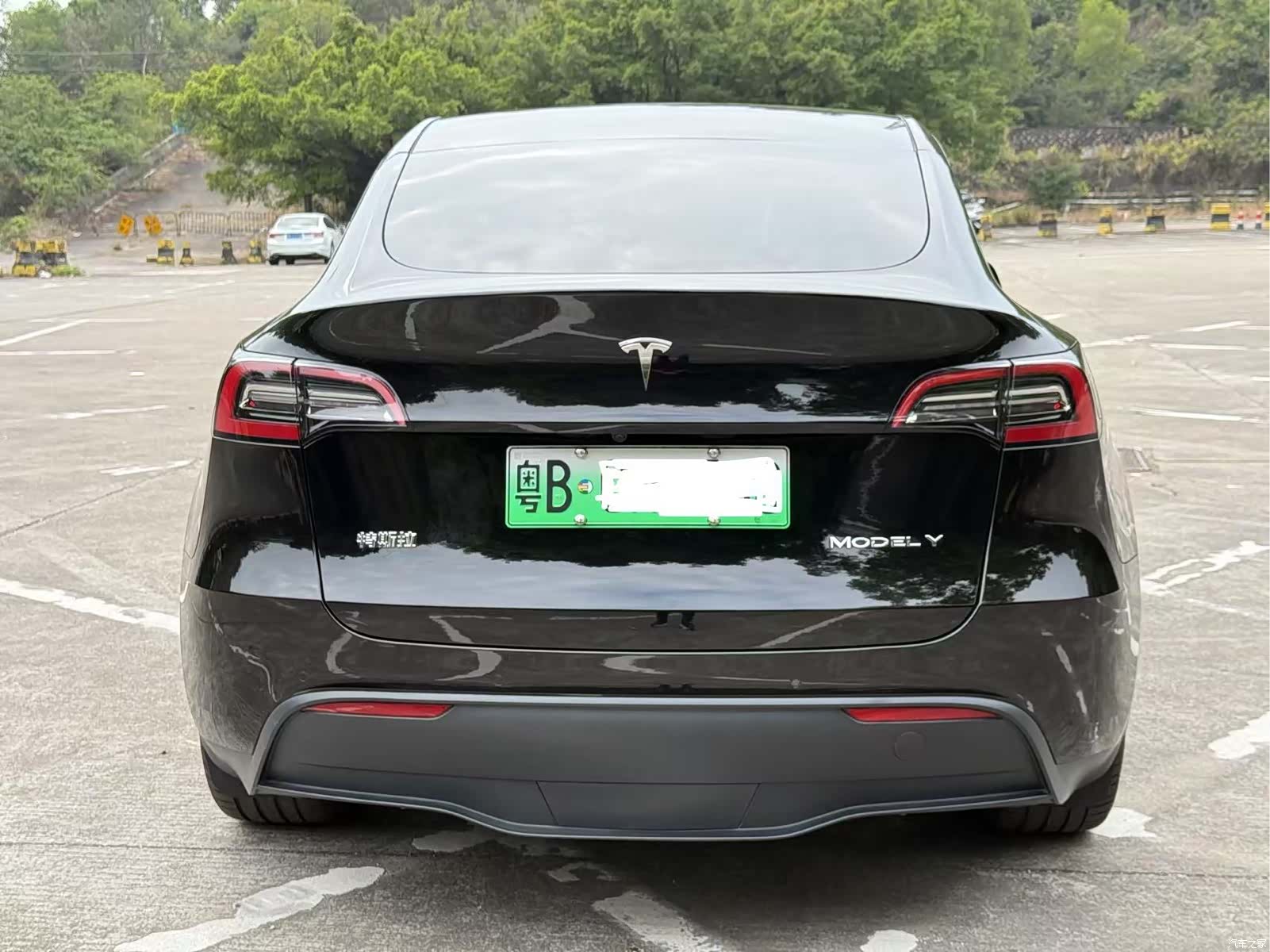 Tesla Model Y, 2022 все фото