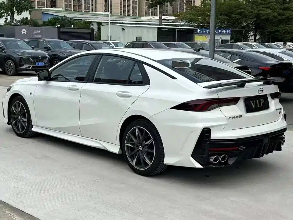 Trumpchi Shadow Leopard