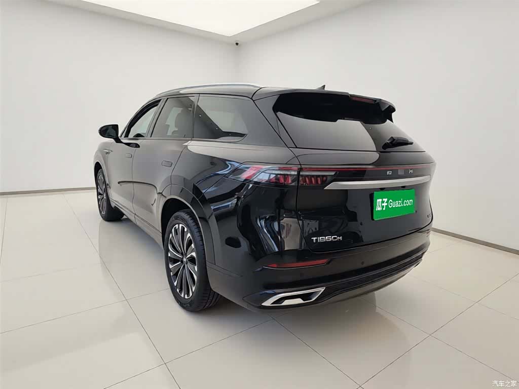 Chery Tiggo 9, 2024 все фото