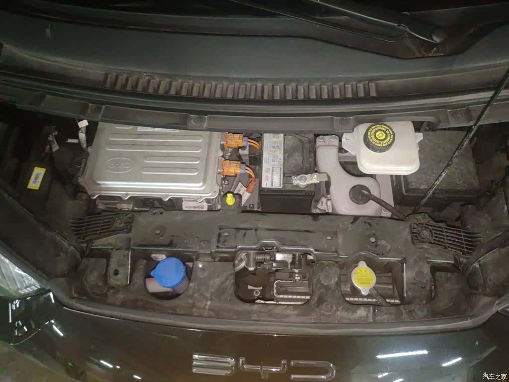 BYD Seagull, 2023 11