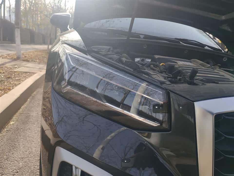 Audi Q2L