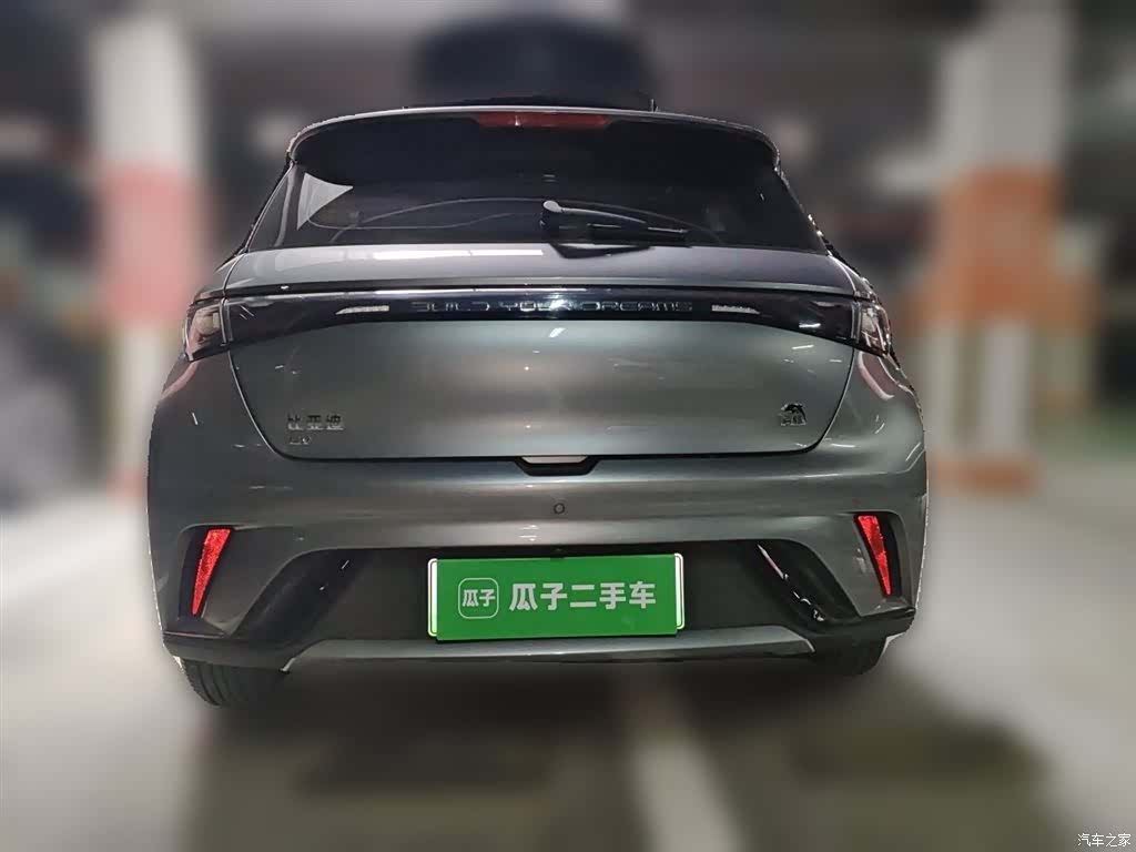 BYD Dolphin, 2024 12