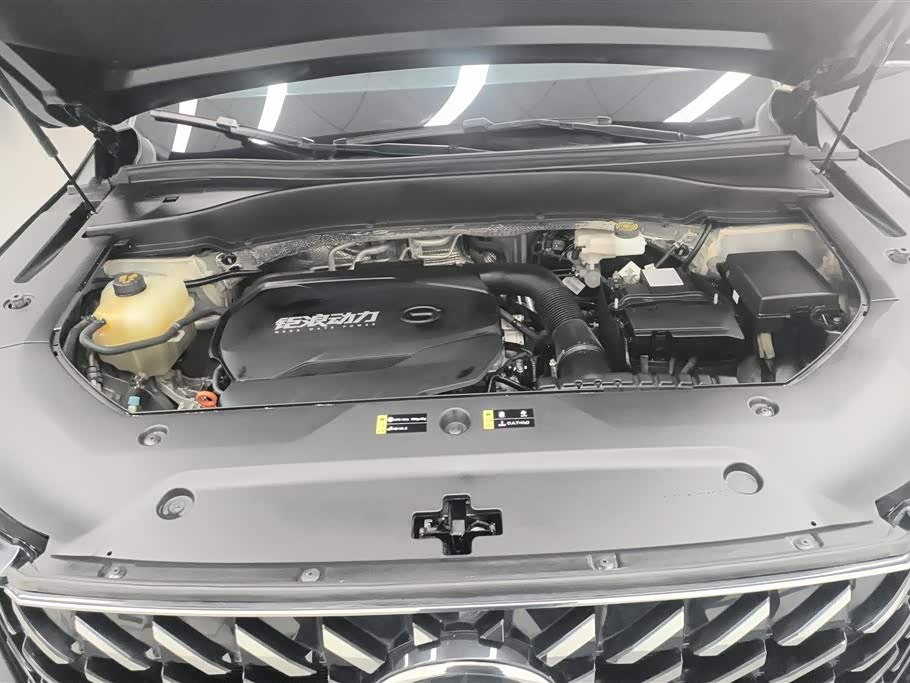 Trumpchi Trumpchi GS8