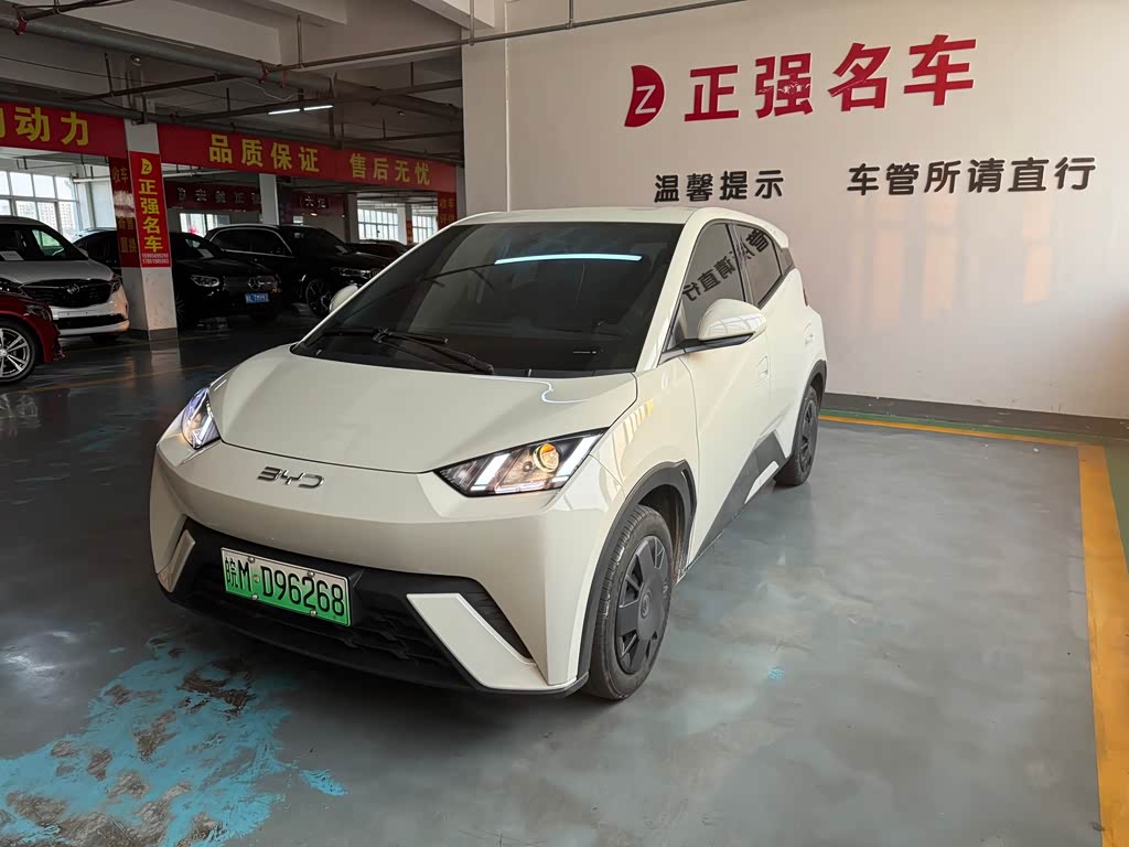 BYD Seagull