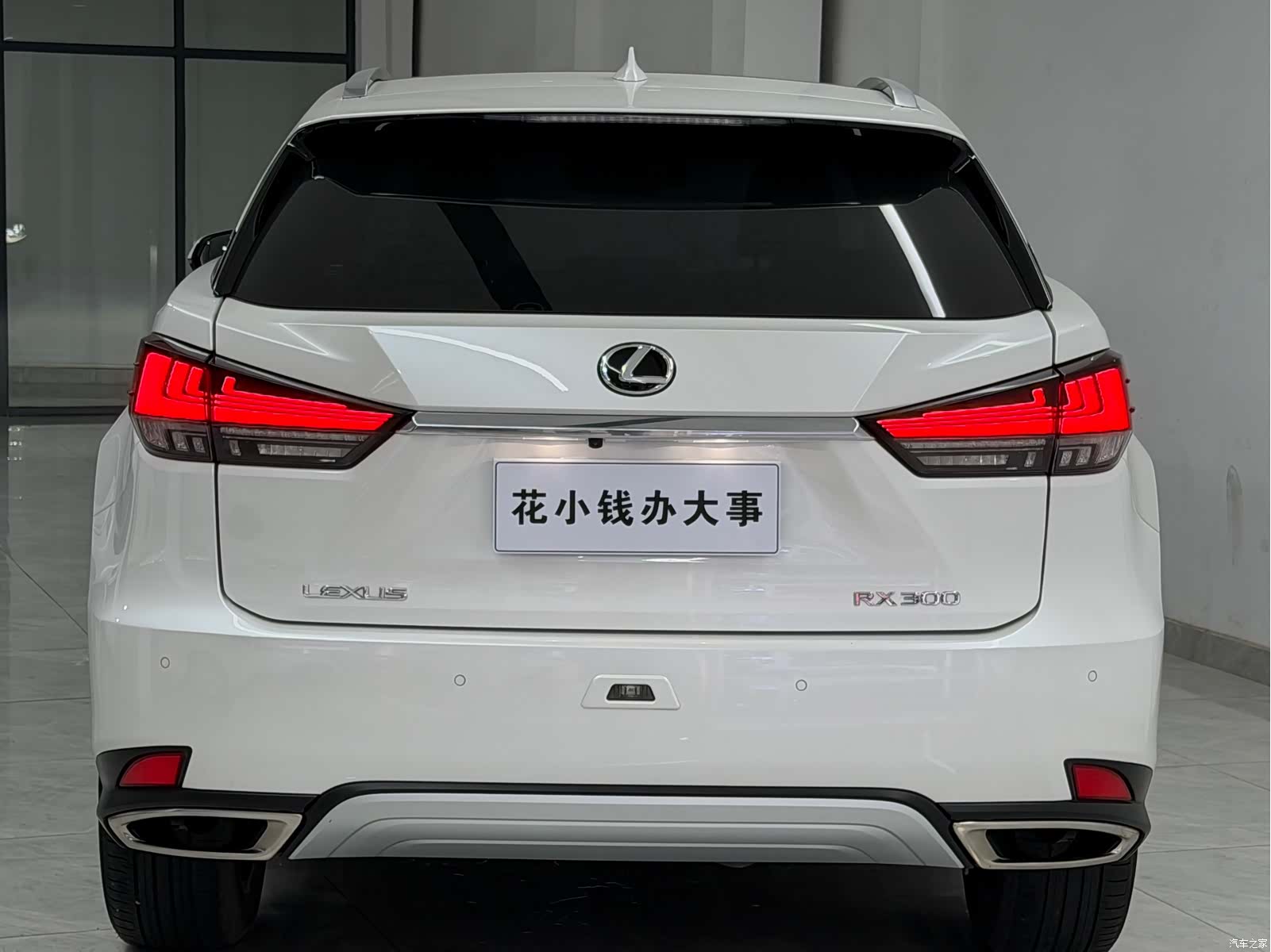 Lexus RX, 2021 15
