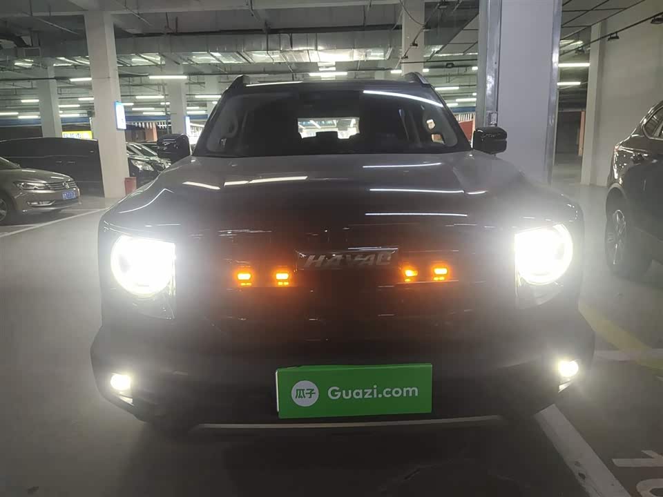 Haval Big dog