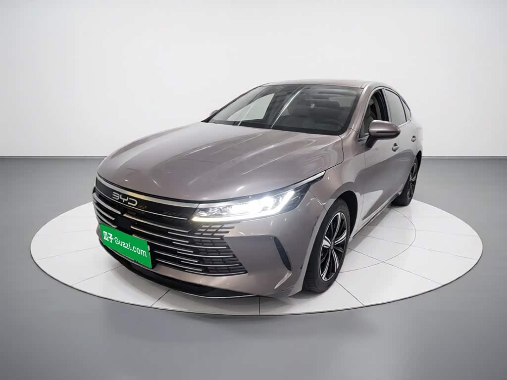 BYD Destroyer 05 2022 DM-i 55KM Luxury