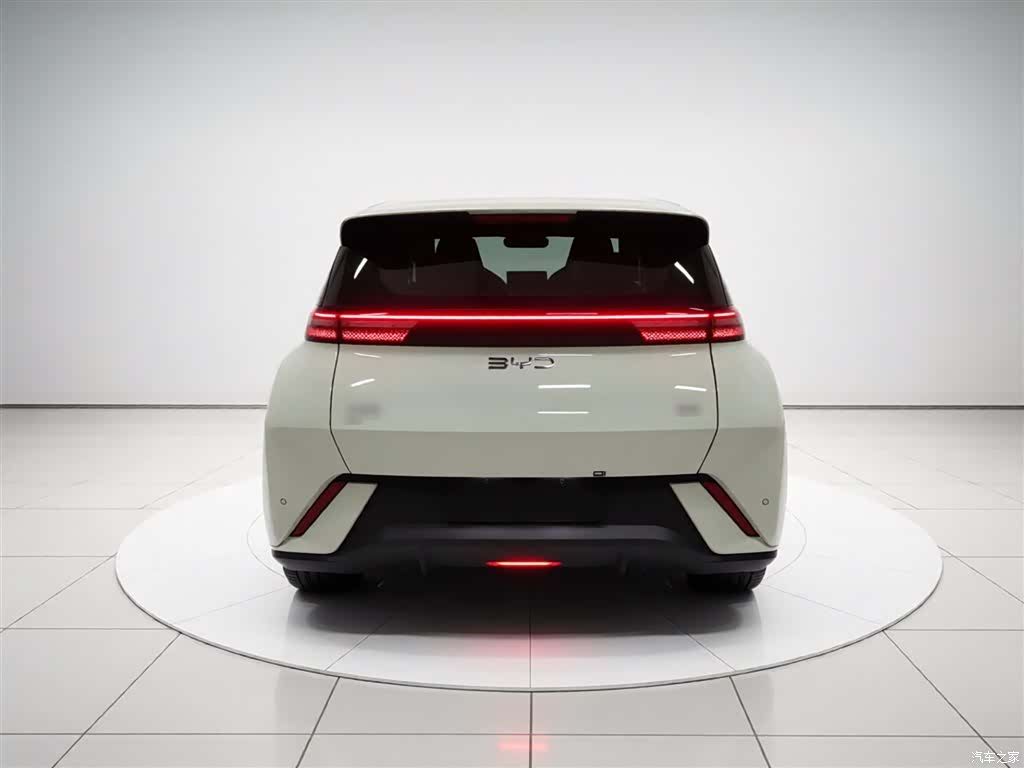 BYD Seagull, 2025 4