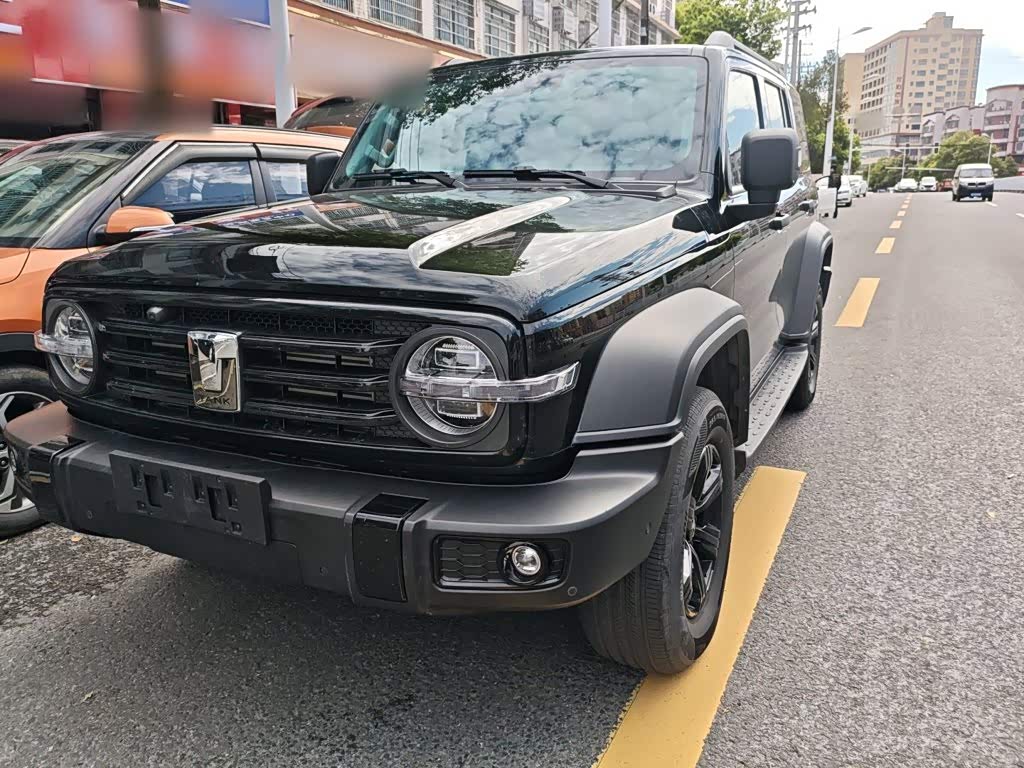 Tank 300