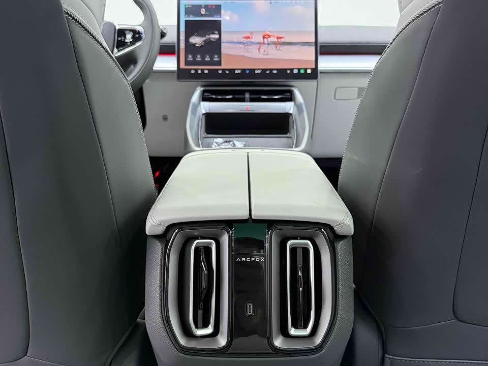 ARCFOX Polar Fox Alpha S5