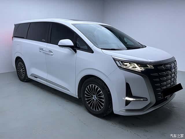 Denza D9, 2023 3