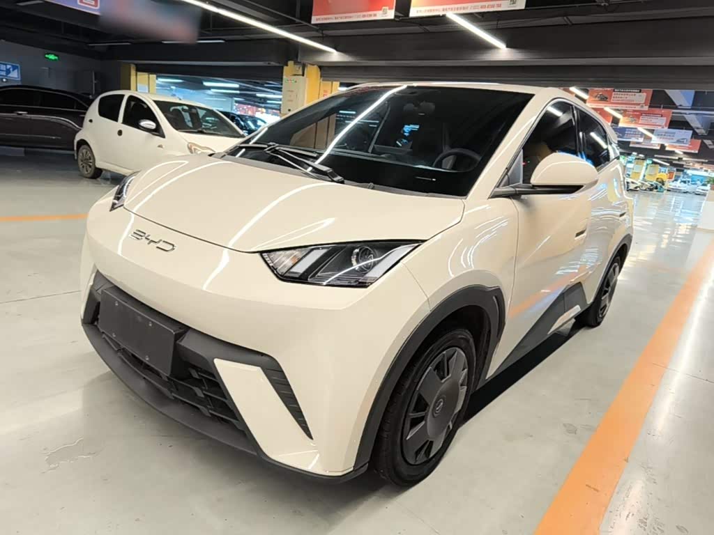 BYD Seagull