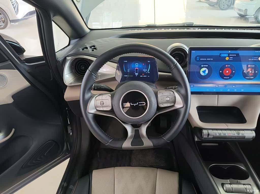 BYD Dolphin, 2023 11