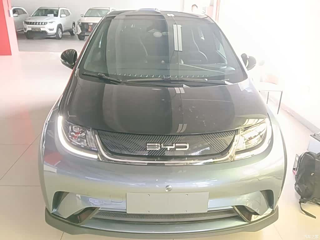 BYD Dolphin, 2023 3