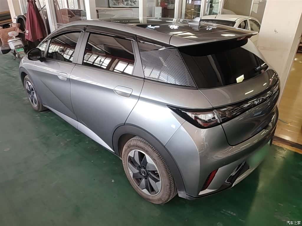 BYD Dolphin, 2024 23
