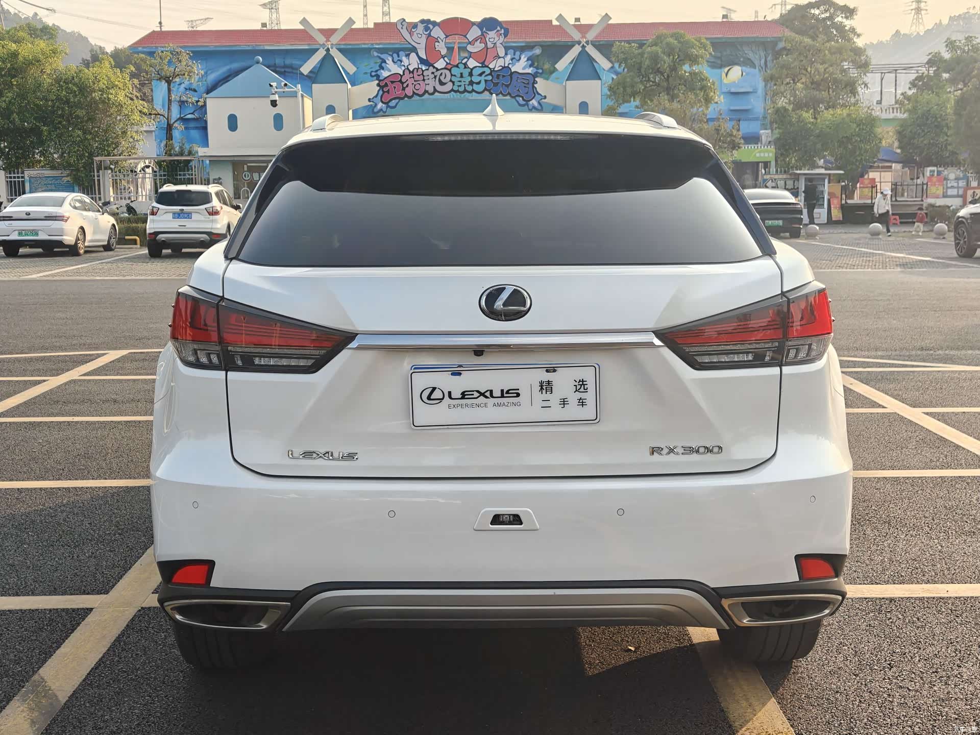 Lexus RX, 2022 4