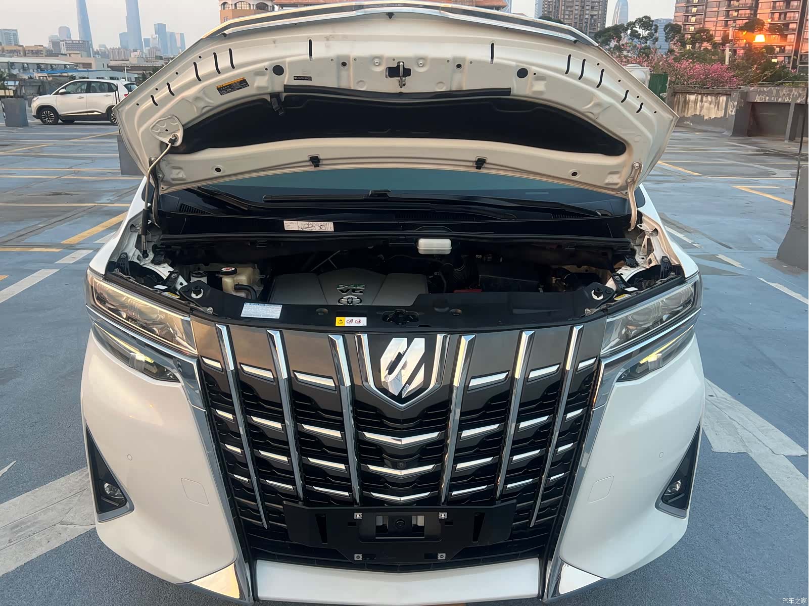 Toyota Alphard, 2018 18