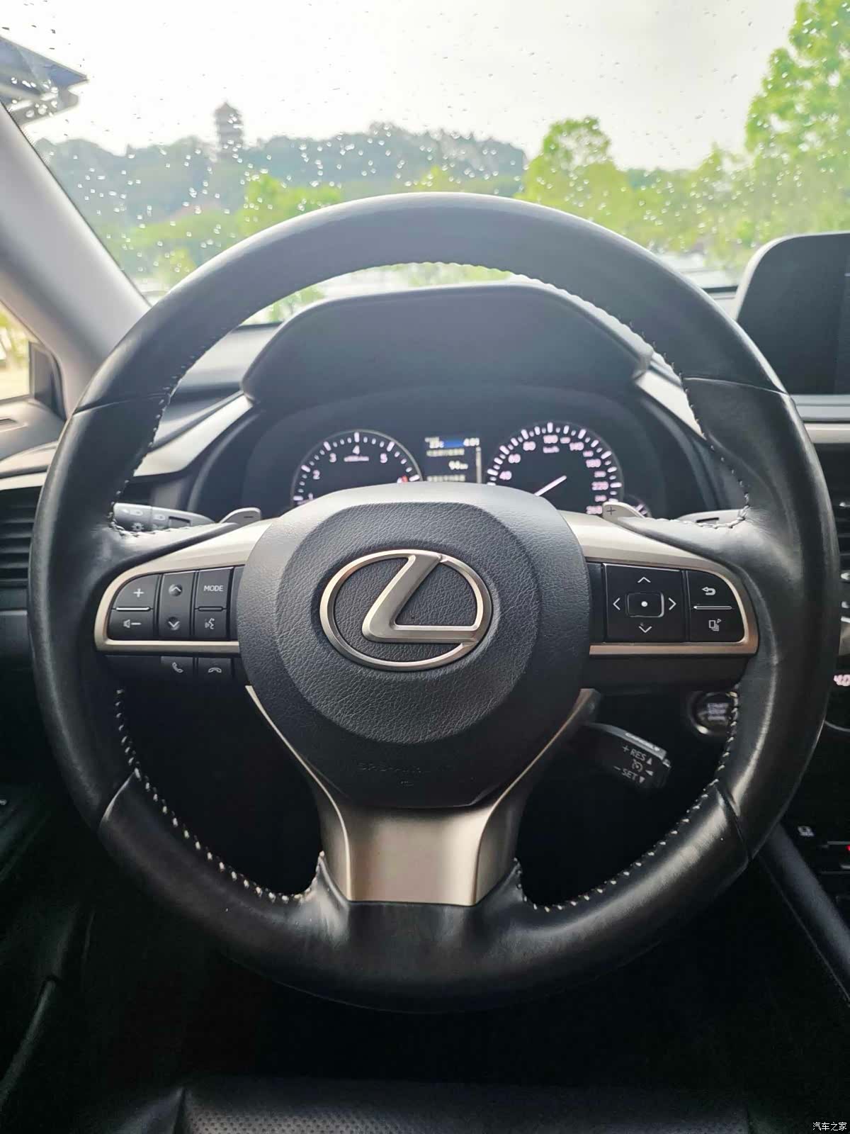 Lexus RX, 2021 6