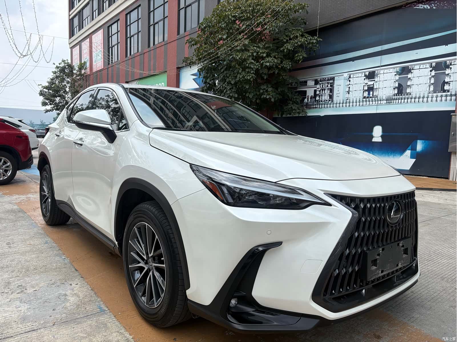 Lexus NX, 2023 3