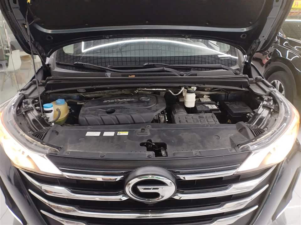 Trumpchi Trumpchi M6