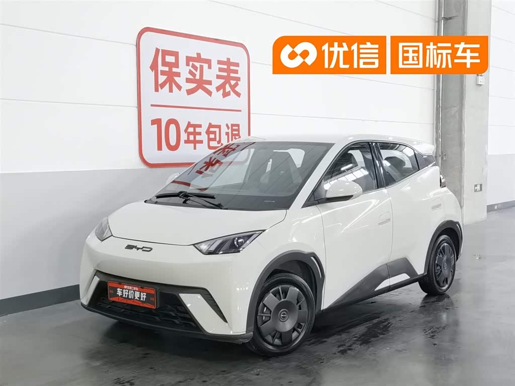 BYD Seagull