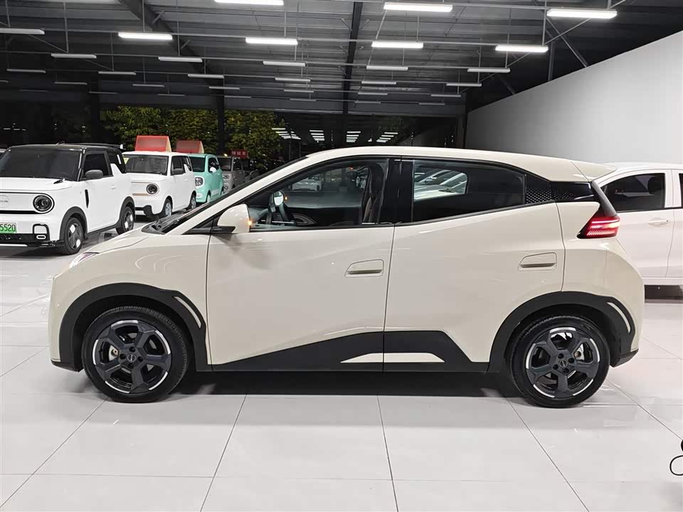 Shandong Texas Car