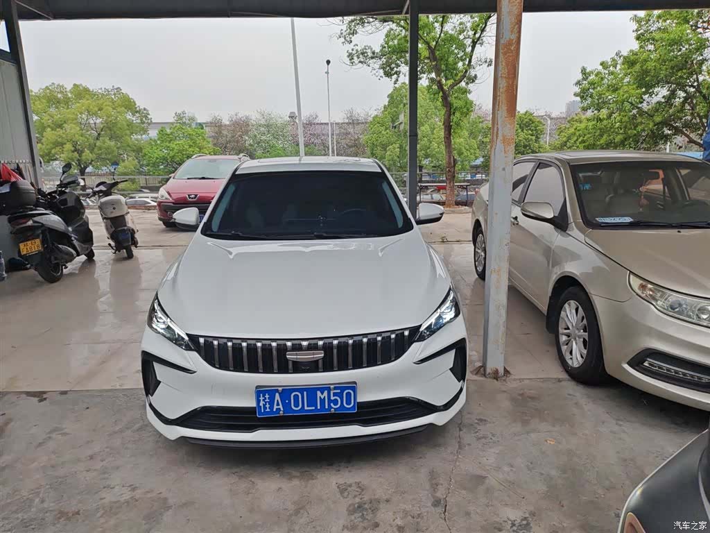 Geely Binray, 2024 8